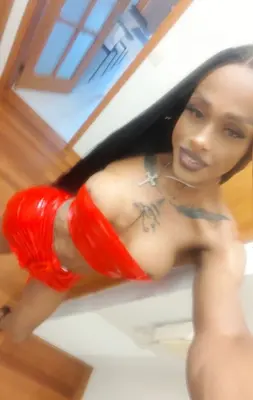 Seme – Travestis Porto
